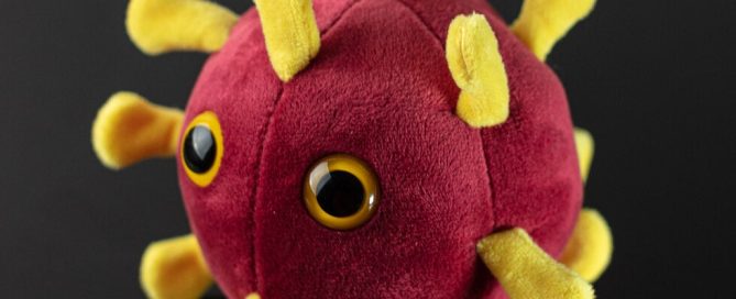 Plush virus model on a dark surface - prophecy in the end times