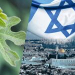 God In Action—Why Should The Re-Establishment Of The State of Israel Matter To Christians? – Amir Tsarfati