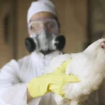 Former CDC Director: ‘Just a Matter of Time’ Until Bird Flu Pandemic with ‘Significant Mortality’ in Humans