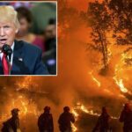 Trump Uses Emergency Powers to Send U.S. Military into California and Provide Water